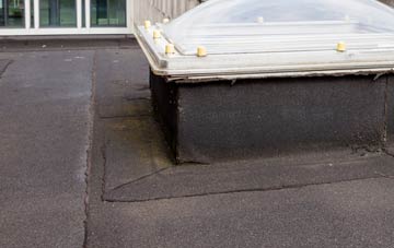 disadvantages of Baranailt flat roofs