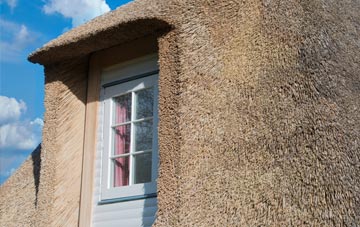 Baranailt thatch roof disadvantages
