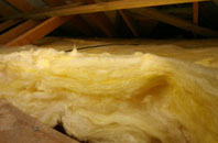 Baranailt pitch roof insulation